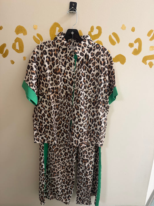 Cheetah Set